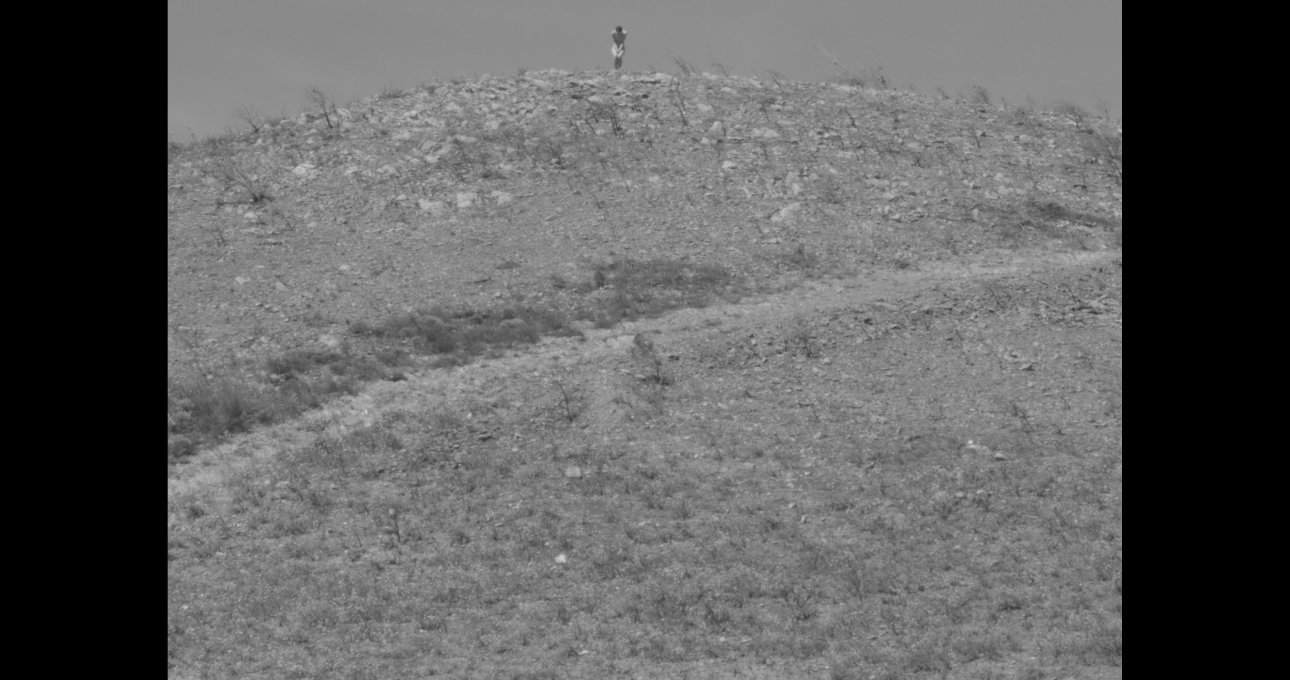 I wonder, yes I confess, I wonder 6